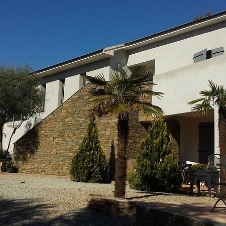 U Muzzelo Bed and Breakfast Oletta  Εξωτερικό φωτογραφία